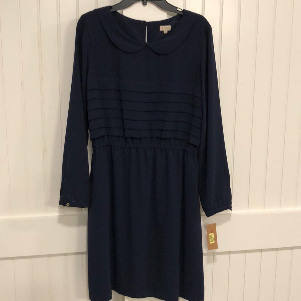 Cremieux dress brand new!!!